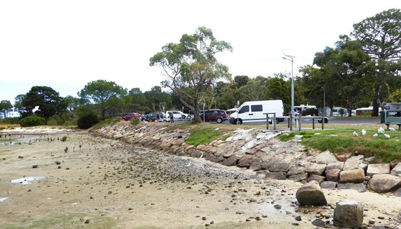 large crocodile spotted on mornington island beach the